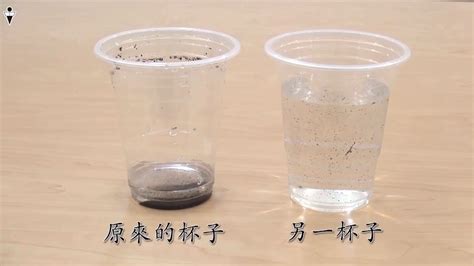 小四常識水的探究|四年級常識 課題2.1 水的探究 (水的三態)